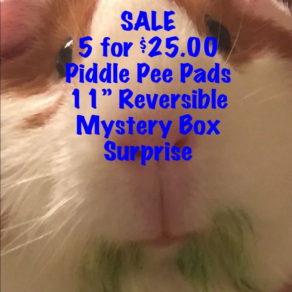 Sale Sale Mystery Set of 5 Piddle Pads 11” Square New Reversible Guinea Pig Buns